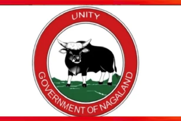 Nagaland Government