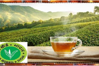 Tea Board of India
