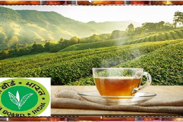 Tea Board of India
