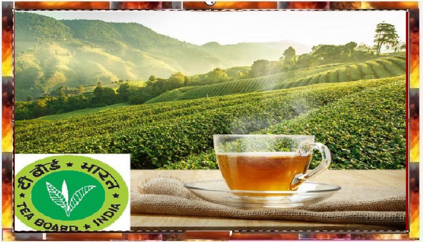Tea Board of India